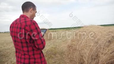 智慧农业理念。一个生活方式男人农民在一块数字平板电脑上研究一个大海捞针。慢动作
